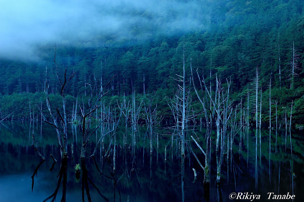 「人間模様」　長野県・王滝村