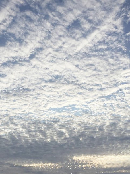 Nathalie Aubert Montreuil, Hochstatt, Mulhouse, Saint Louis, Colmar, Altkrich, Kinésiologie, Kinésiologue, Energéticienne, Stress, Fatigue, peur, sommeil, confiance