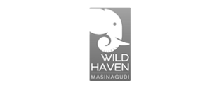 Wild-Haven.png