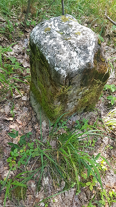 STADTWALD_GRENZSTEINBILD_02.png