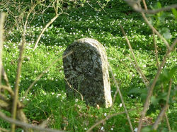 Naturlehrpfad Grenzstein