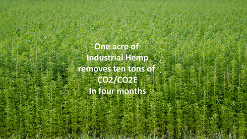 hemp CO2.png