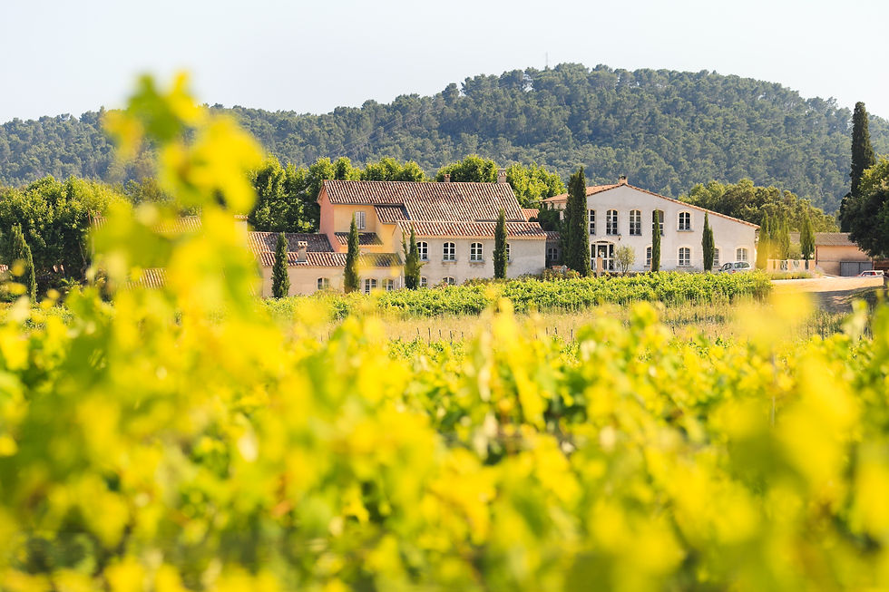 Domaine du Grand Cros.jpg