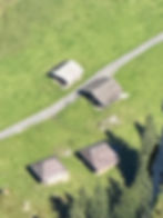 ree