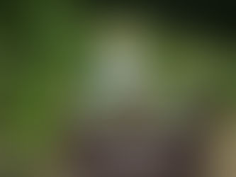 San Antonio, Texas continued