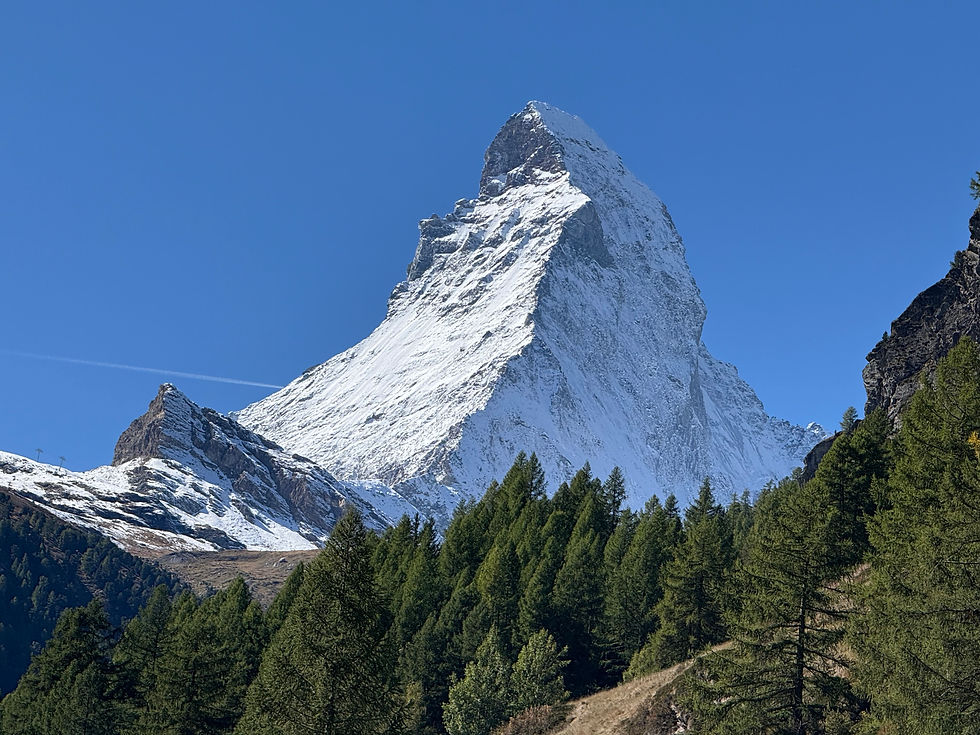 ree