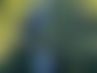 Giessbach Falls at the Grandhotel Giessbach