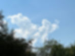 ree