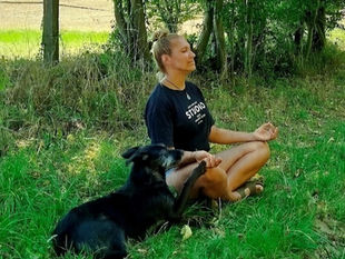 Energiearbeit mit Tieren: So funktioniert es