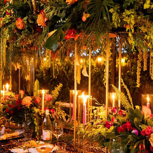 Tropical Birthday
