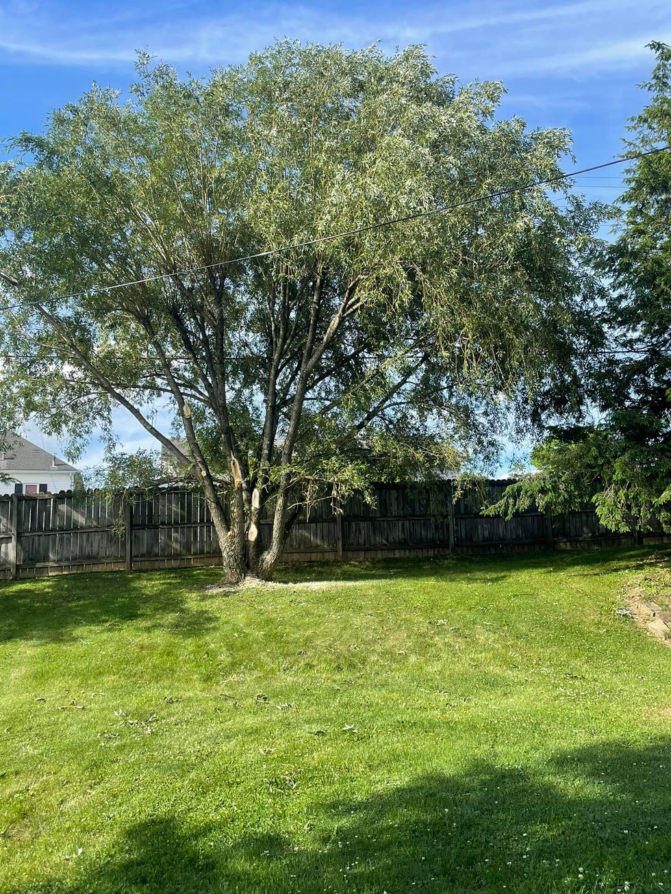 286428019_430469748902028_1916306469165909398_n