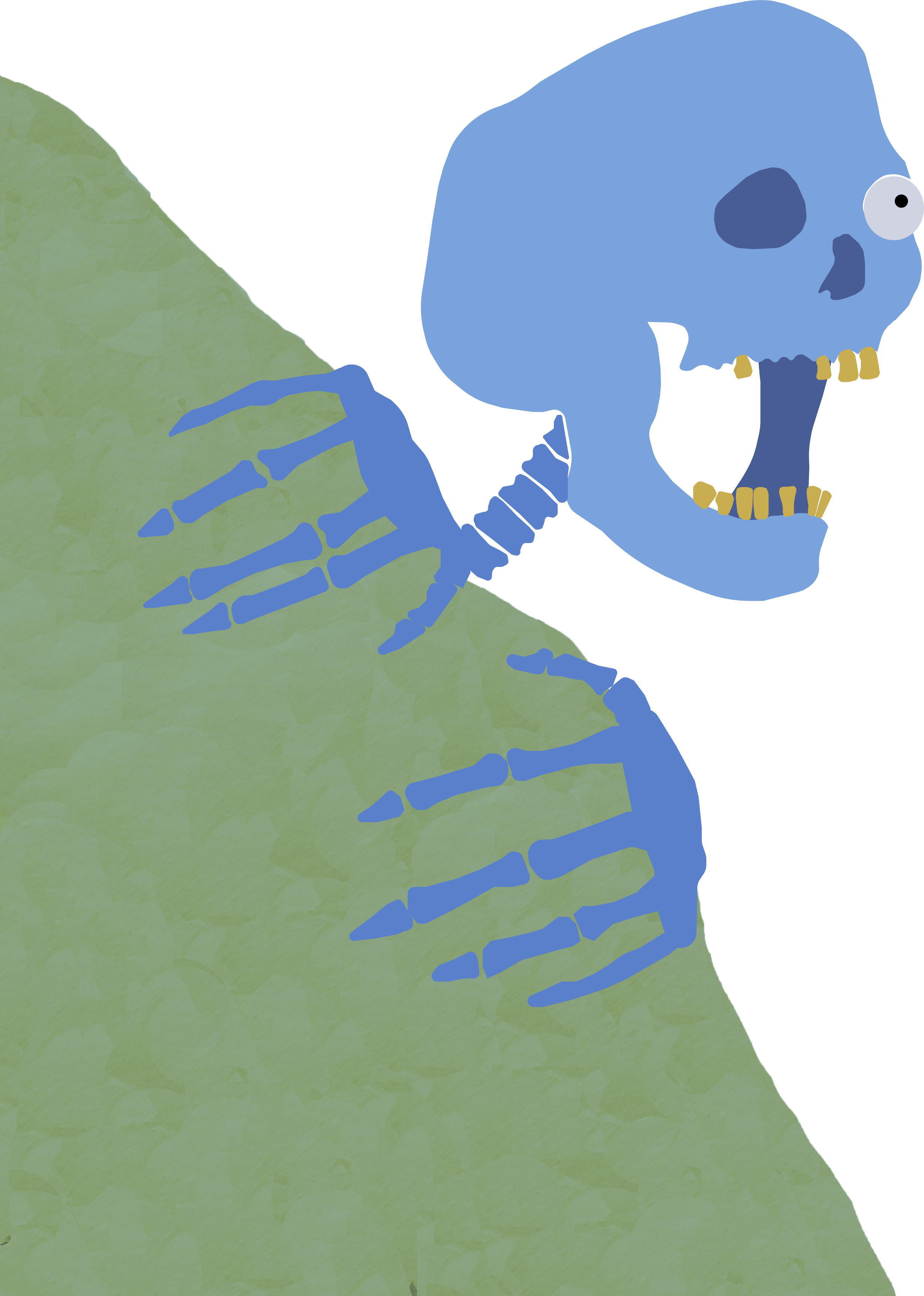 skelet.png