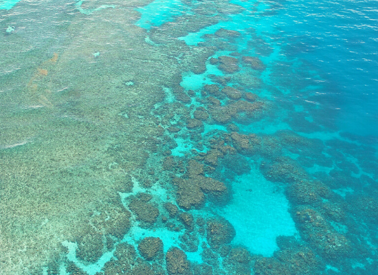 Fotografia tirada do alto com auxilio de drone da extensão de uma barreira de corais de ambiente raso. Percebe-se os grandes montes formados pelo acúmulo de indivíduos coral na Plataforma Continental criando um cordão de corais que forma a barreira em meio ao oceano