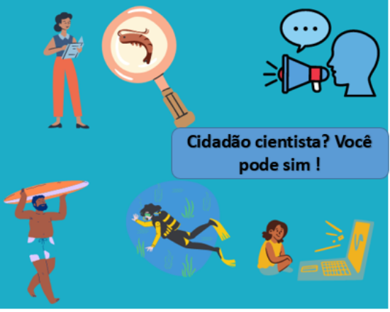 Imagem com desenhos de uma professora, uma lupa com um camarão dentro, um rosto com um autofalante e uma nuvem de pensamento com reticências dentro, um homem com uma prancha de surfe e uma mergulhadora com macroalgas e e uma estudante observando o computador. No centro, tem um texto com ''Cidadão cientista! Você pode sim''