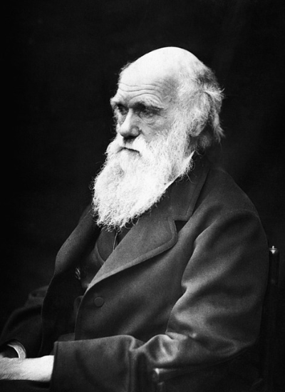 Foto em preto e branco de Charles Darwin em meio corpo. É um homem branco, mais velho, com careca e cabelos brancos apenas na parte posterior da cabeça. Possui barba grande, lisa, que vai até o início de seu tórax. Seu olhar está voltado para a lateral esquerda. Veste um terno preto.