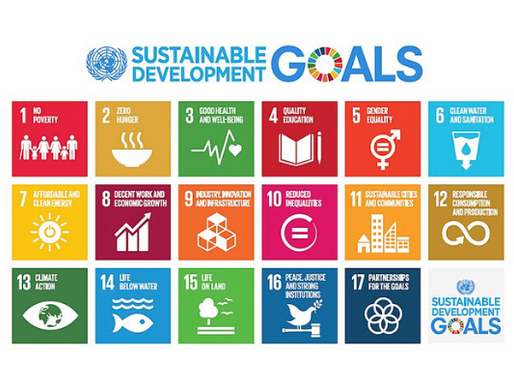 Vida na Água: Objetivos de Desenvolvimento Sustentável #14 (Agenda ONU 2030)