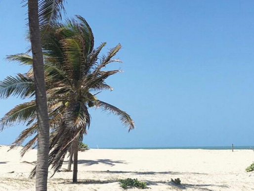 Reserva extrativista marinha: o que é e qual sua importância?