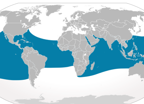 Mapa mundi mostrando uma faixa azul no equador.
