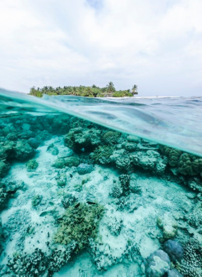 Imagem do oceano, sendo a parte inferior mostra o branqueamento dos corais e ao fundo uma ilha com vegetação.