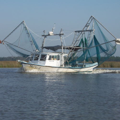 Fotografia de um barco de pesca de camarões, ele possui grandes hastes que seguram as redes que serão colocadas na água.
