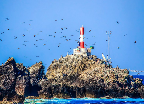 Foto da frente de um grande rochedo do ASPSP. As rochas são bastante irregulares com tons marrons, sendo marrom mais escuro perto da água e mais claro perto do céu. A ilha está emersa no mar azul. O céu é azul claro e limpo. Há um farol vermelho com listra branca no topo da ilha e várias aves marinhas voando circulando o farol.