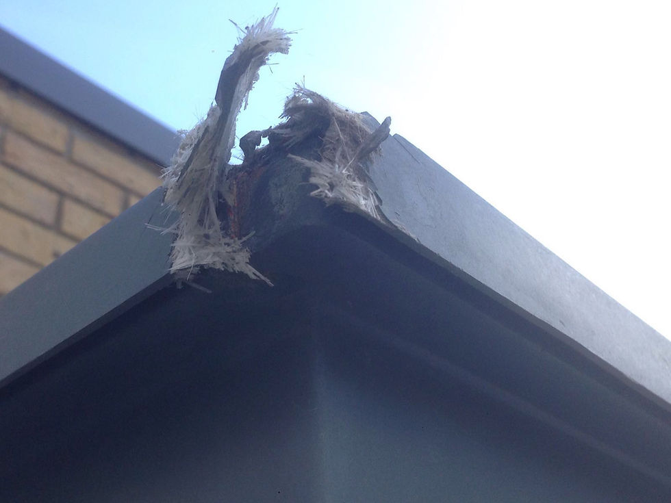 Damaged canopy- before