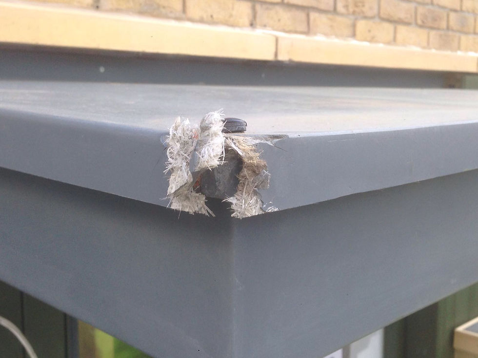 Damaged canopy- before from different angle