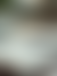 博客写作中的常见错误及避免方法