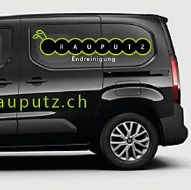 rauputz-auto.jpeg
