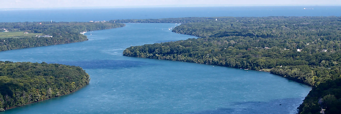 Screen Shot 2020-06-24 at 4.32.15 PM.png