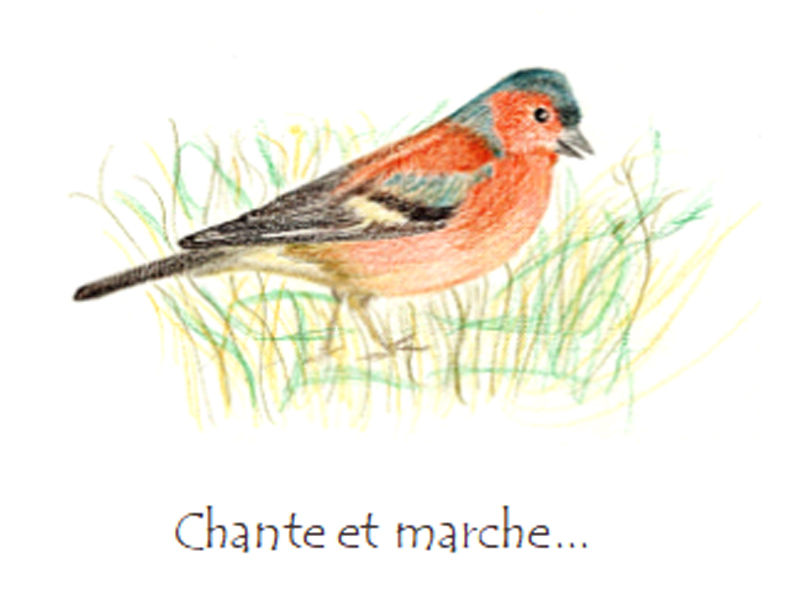 Miniature : Cartes VIE-1