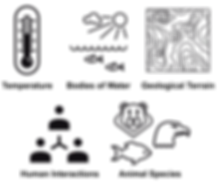 user-journey-map (stapler)-18.png