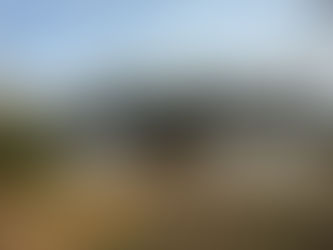 Designing Air and Light: The Visualize Pergola Project for Autumn Outdoor Living