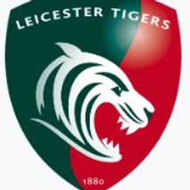 Tigers Logo White Background.JPG