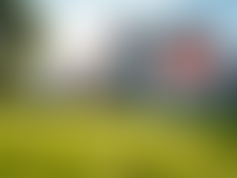 5 Essential Tips Every Real Estate Investor Must Know