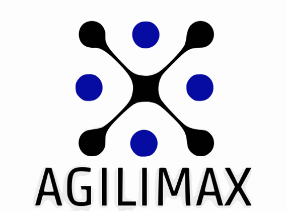 LogoAgilimax5.png
