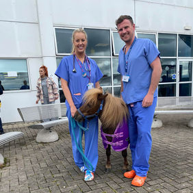 Wellbeing Programmes Belfast & Northern Ireland