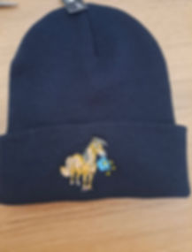 Beanie Hats