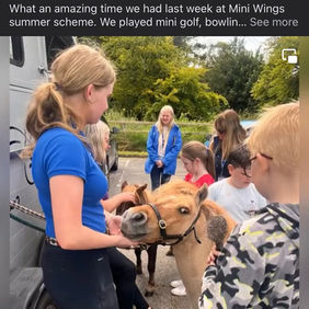 Equine Therapy & Equine Assisted Learning in Belfast and Northern Ireland