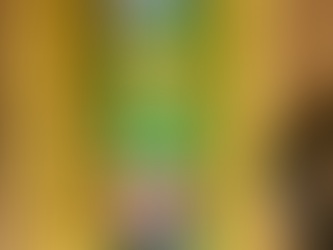 The First Tube of Pringles