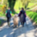 Wellbeing Programmes Belfast & Northern Ireland