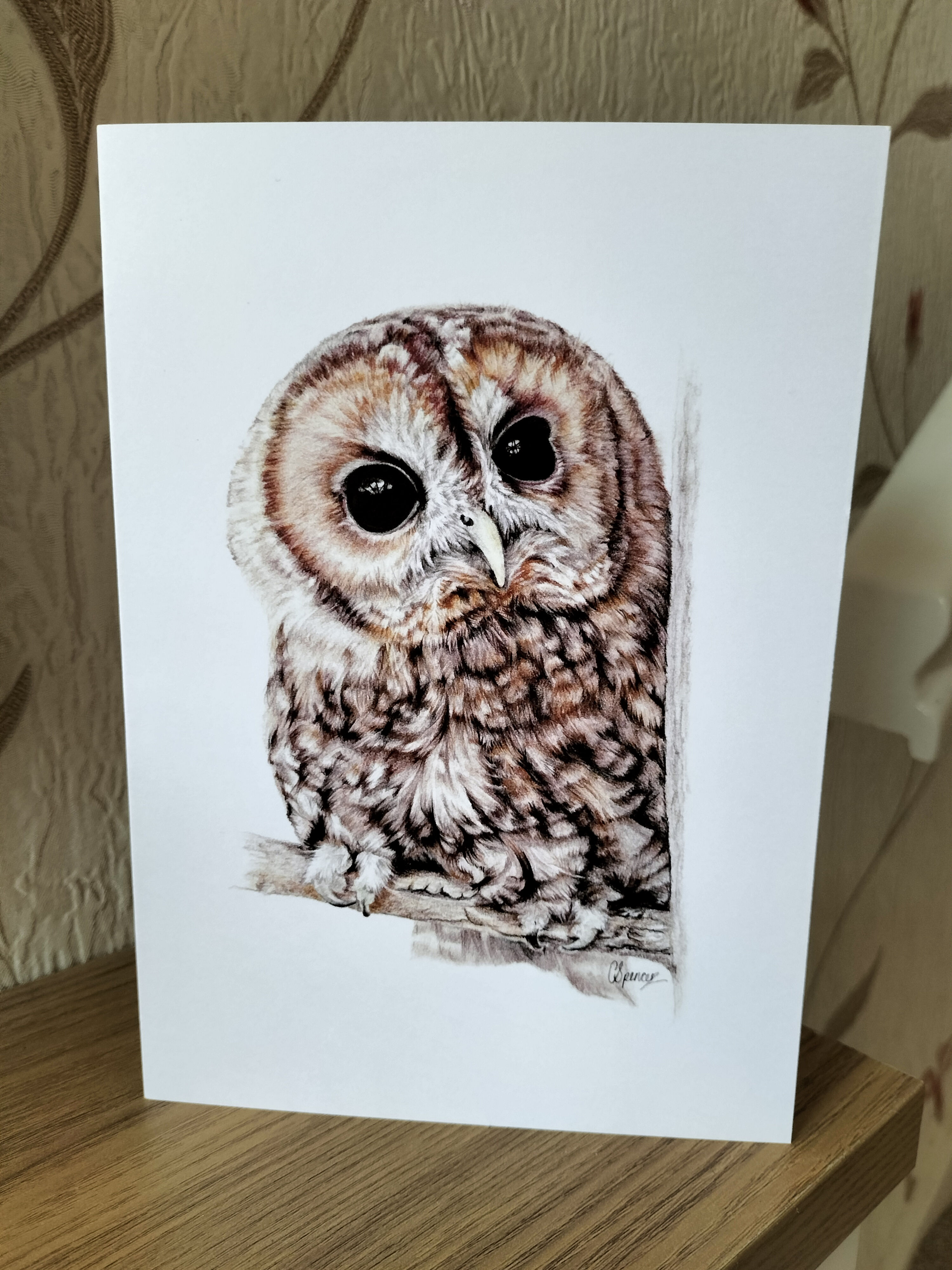 Tawny Owl Greeting Card