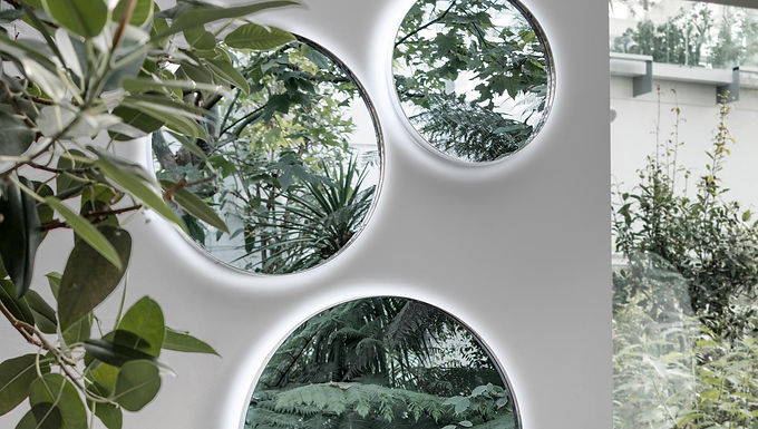 mirrors-alivar