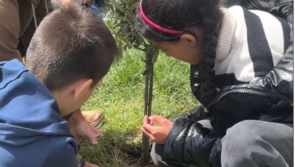 NAKBA EGUNEAN OLIBONDOA LANDATZEN