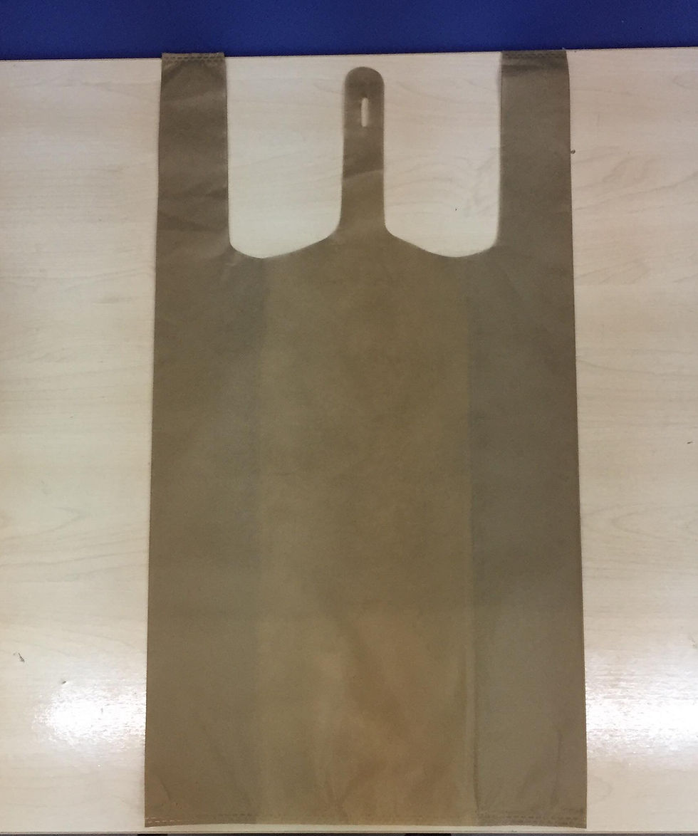 Thumbnail: Sando EcoBag 