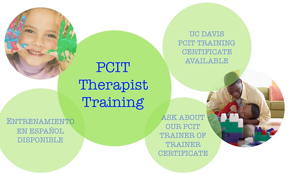 5-7-2020 HEALTHY FOCUS PCIT TRAINING FLY