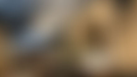 Breakfast & Mimosas at Versailles