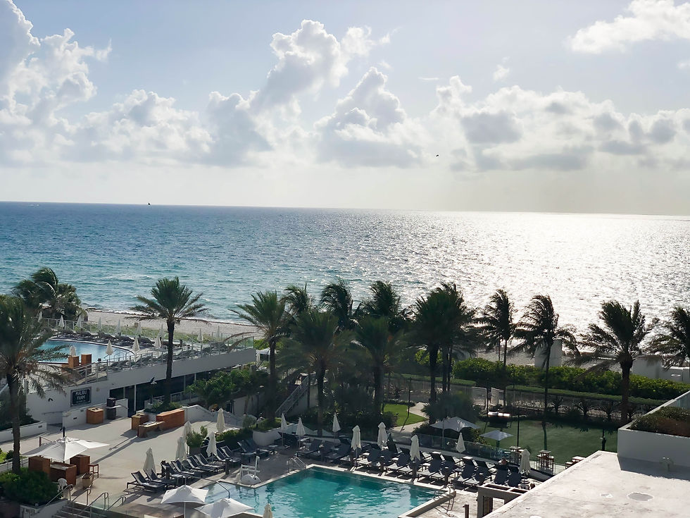 Miami Vibes