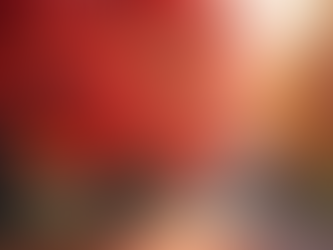 Top 5 Trees Perfect for Planting in the Fall