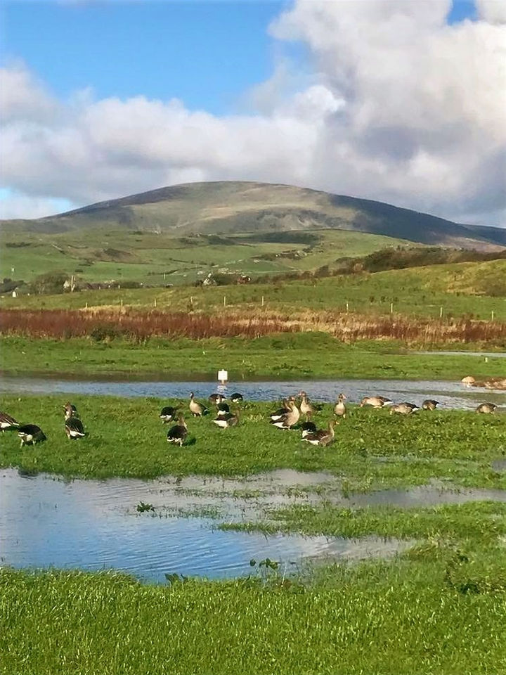 Haverigg port, Millom, Cumbria Holiday Let